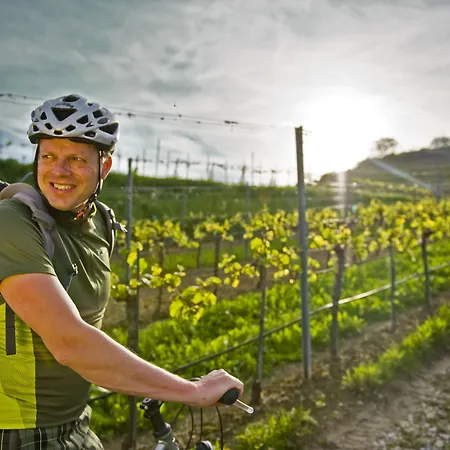 فندق Moserhof غمبولدسكيرشن