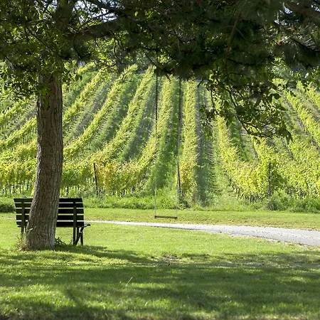 Hotel Moserhof 4*