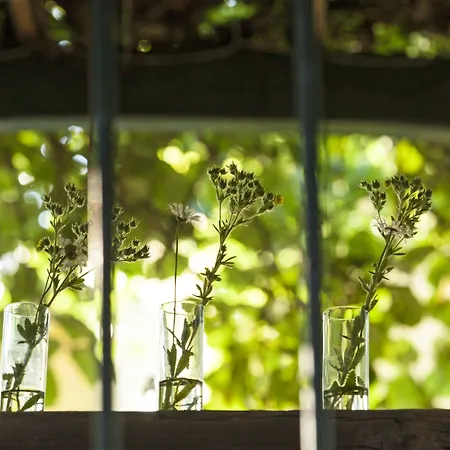 Moserhof 4* غمبولدسكيرشن