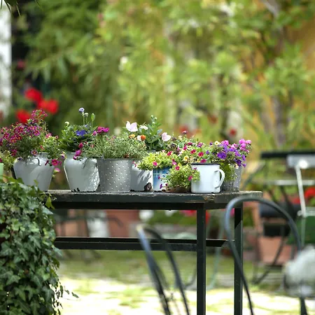 Hotel Moserhof 4*