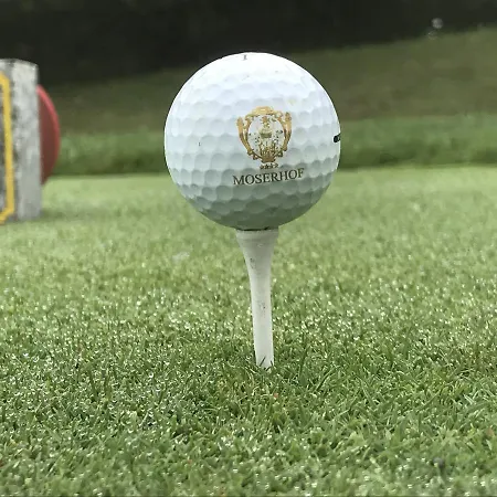 فندق Moserhof 4*