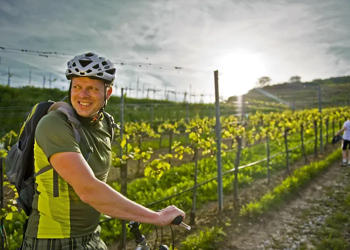 מלון Moserhof גומפולדסקירשן