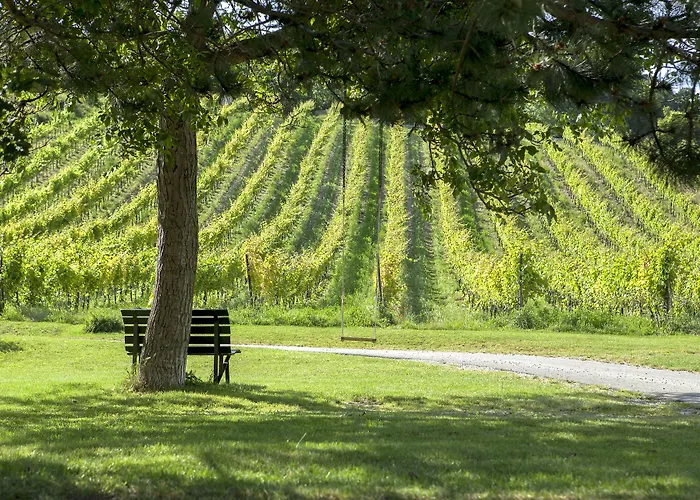 מלון Moserhof 4*