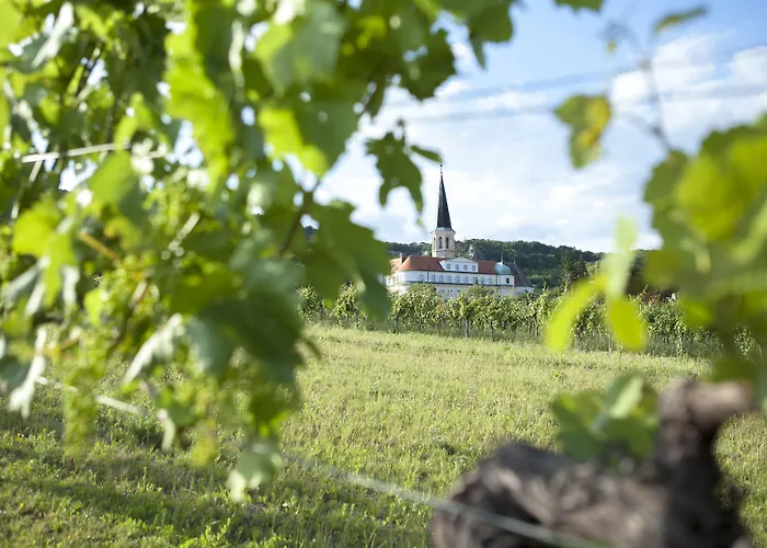 Moserhof 4* גומפולדסקירשן