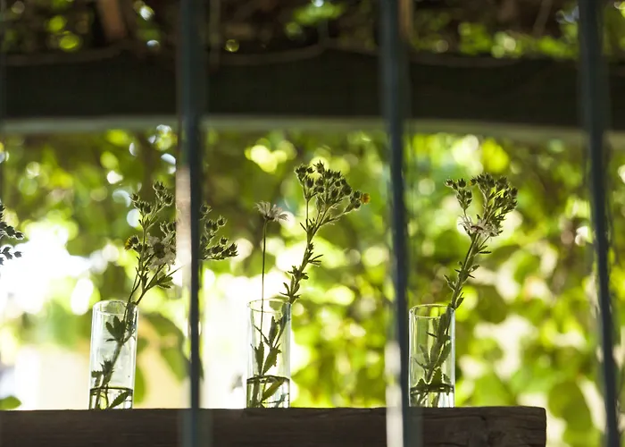 Moserhof 4* גומפולדסקירשן